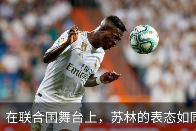 在联合国舞台上，苏林的表态如同一场外交“大秀