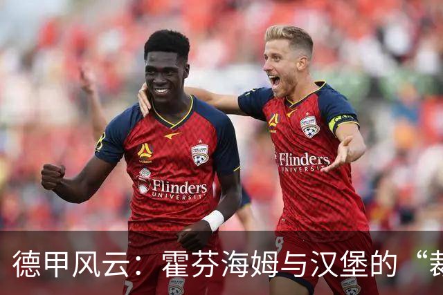 德甲风云：霍芬海姆与汉堡的“裁判时代”！